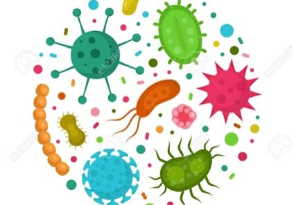 Bacterieel micro organisme in een cirkel